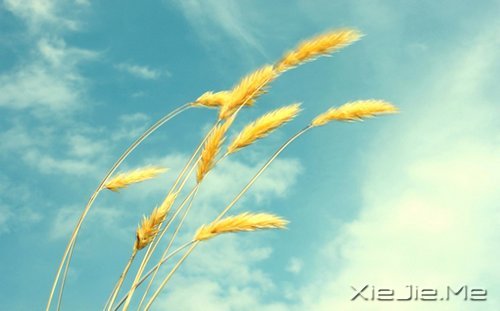 д�˽����ʣ�������һ�� (1)