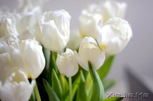 世界上著名的钢琴曲和背后的故事 (6)