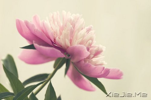 �����Լ������κ��ź� (3)