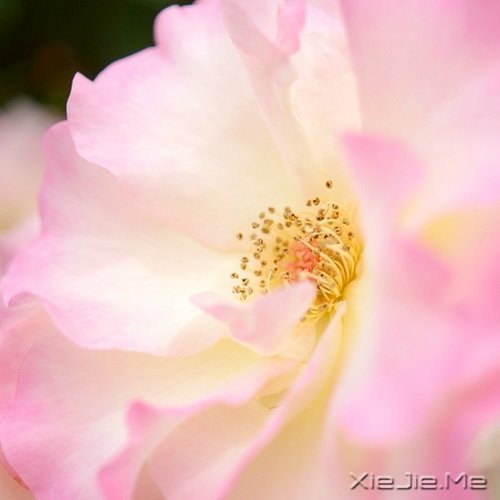 ����ľŴ��ǻ� (8)