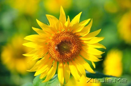 ������¼��������磬������������ (4)