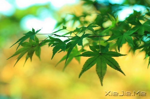 王石教你培养好习惯的几个方法