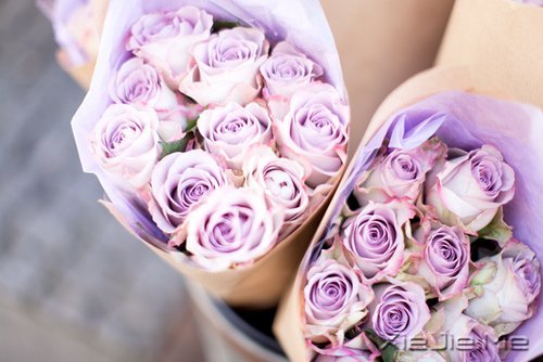 ������¼��ֻҪ�ʺ��Լ��������Ҹ� (15)