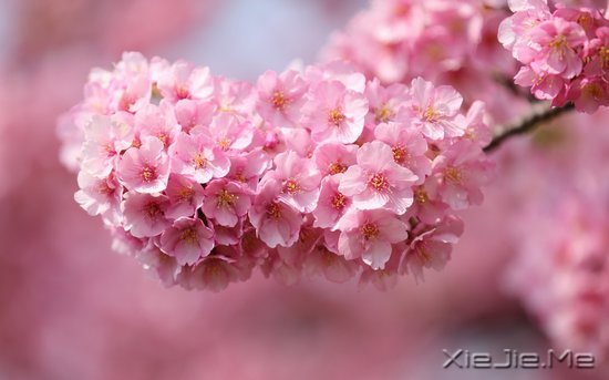 文字:要少做的十件事 (3)