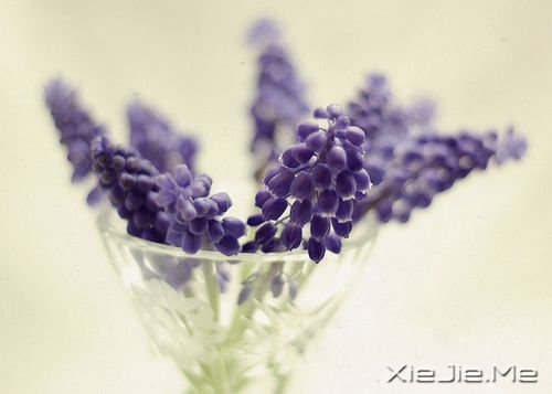 25条经典智慧语录 (1)