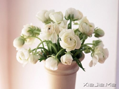 这一生在追求什么