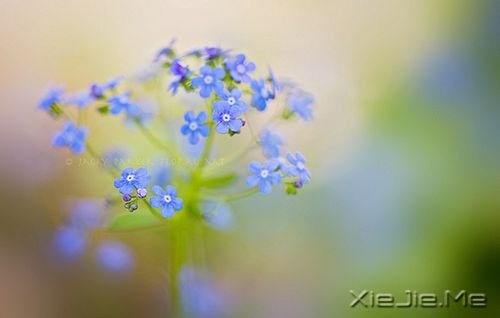 ��������Щ�򵥵�С�Ҹ� (3)