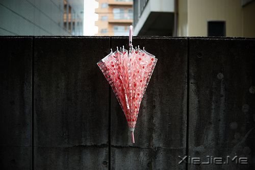 ��������Щɵ����