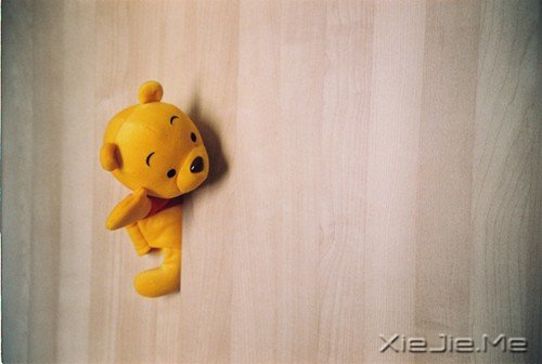 做一个最单纯的人,走一段最幸福的路